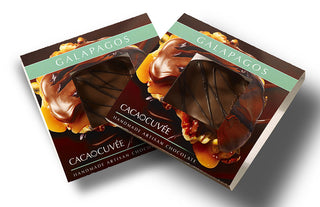2 Galapagos Dark Chocolate Turtles